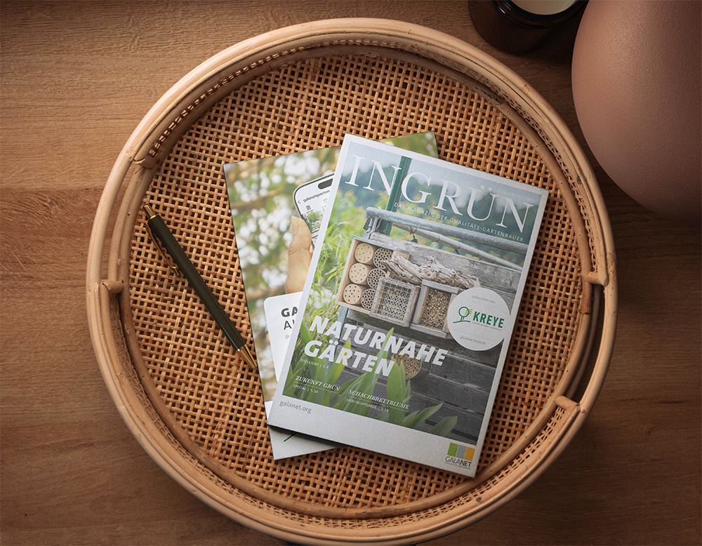 INGRÜN 04/2025 jetzt kostenlos herunterladen